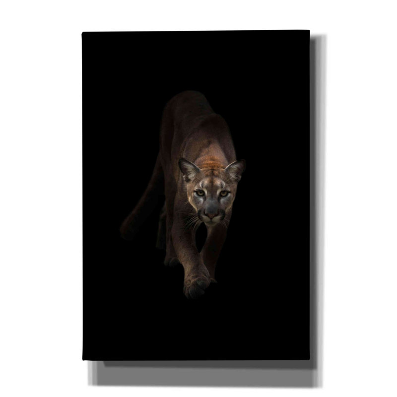 «Lion» par Incado, estampe numérique sur toile, L 18 po x H 26 po