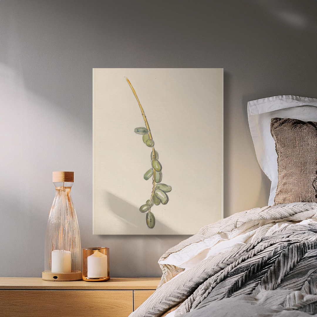 Watercolor Date Fruit Botanical Canvas
