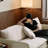 Light Retro Fabric Straight Sofa