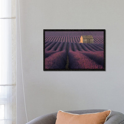 Lavender Fields of Provence IV 1 Piece Wall Art on Canvas