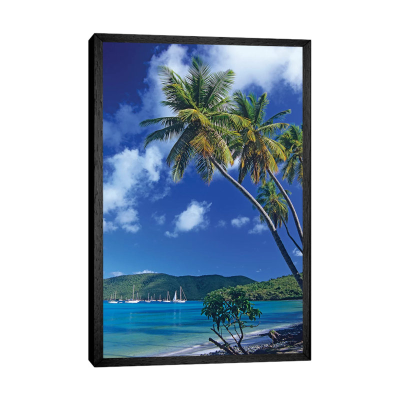 Palm Trees At Maho Bay, Virgin Islands by Tim Fitzharris - Print on Canvas, 66.04 cm H x 45.72 cm W, Black Framed