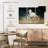 Brampt Dusty White Horse-108145275