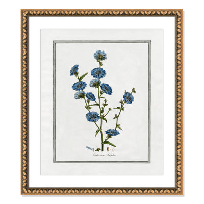 Colombe "Soft Botanical I" Print