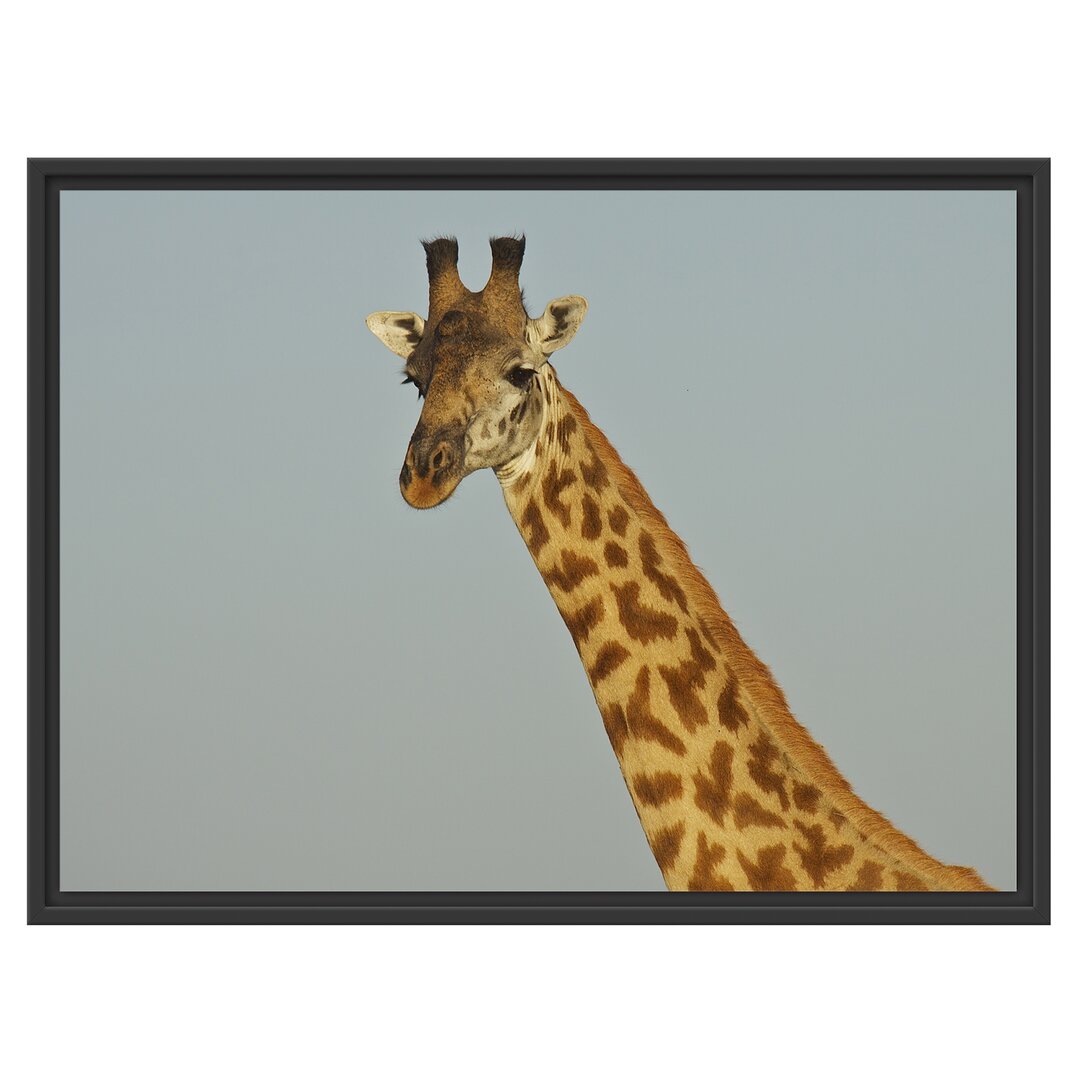 Gerahmtes Wandbild majestätische Giraffe