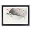 Pink Flowers & Insect by the River by Ohara Koson - Framed Print-55768707-55768708