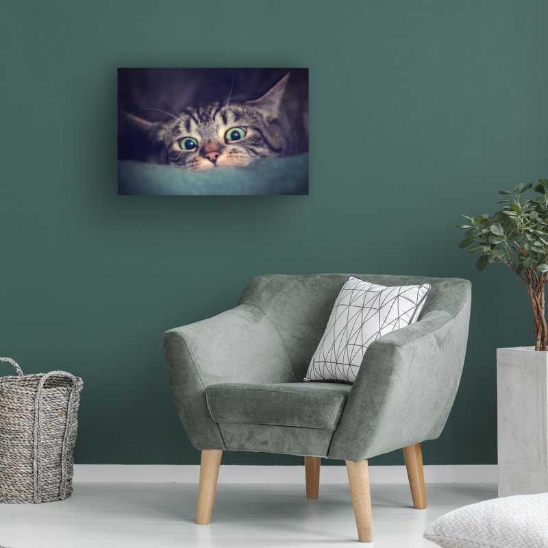 Art sur toile «bolche Antje Wenner Braun HUNTER», H 12 po x l 19 po