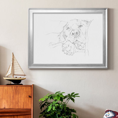 Lazy Dog I