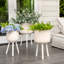 Ensemble de jardinière neutre en osier Boho, décoration de jardin d'intérieur polyvalente-145217746-145217744