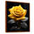 Brown Floater Framed