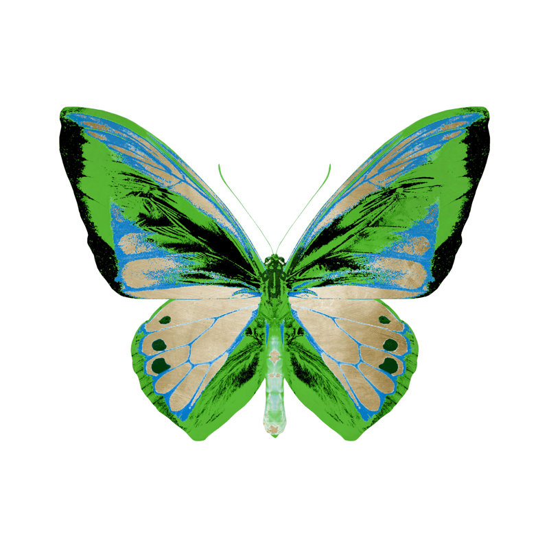 Radioactive Butterfly III Print by Mari Urasawa, Glass Coat, 36" H x 36" W