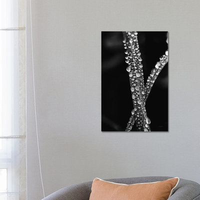 Water Droplets by Aledanda - Wrapped Canvas Print