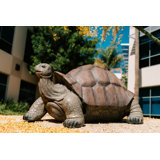 Tortoise Statue