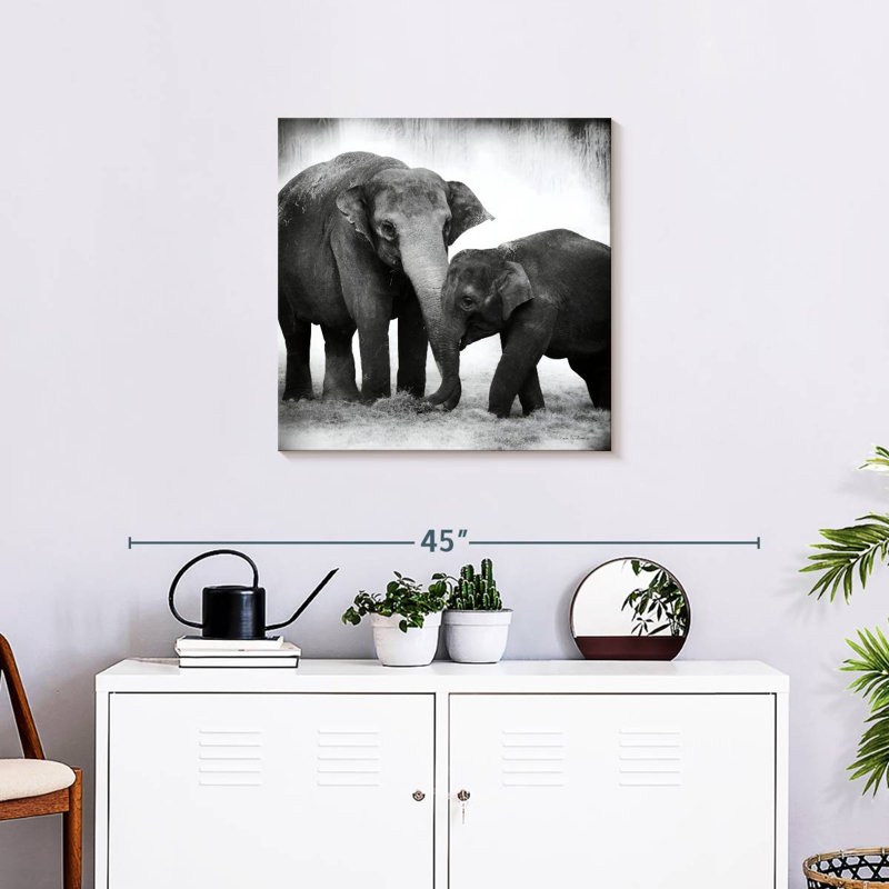 Crowle Elephant BW II