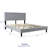 Solid Wood Queen Upholstered Platform Bed Frame With Headboard, No Box Spring Needed And Easy Assembly, Gray-1282708911-1282708908