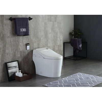 Toilette bidet allongée à double chasse