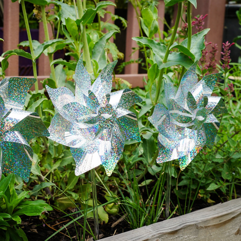Mylar, Argent argent