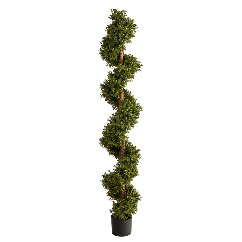 Buis artificiel en pot Darnell, H 72 po x l 10 po x P 10 po