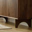 Armoire de rangement multifonctionnelle pour chaussures-1387043551