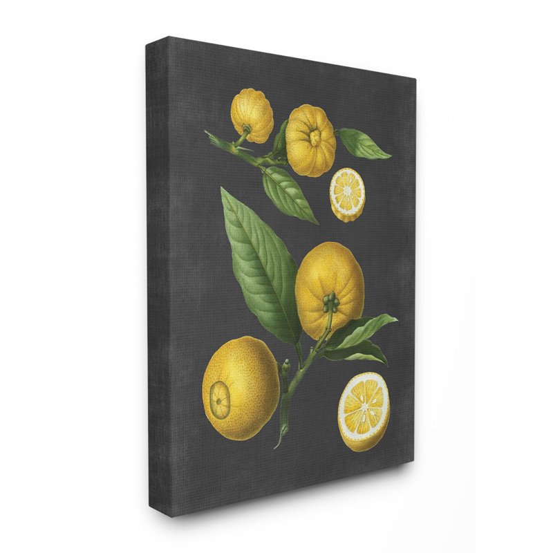 «Botanical Dessin Lemons On Black Design», impression, Toile tendue, H 40 po x l 30 po