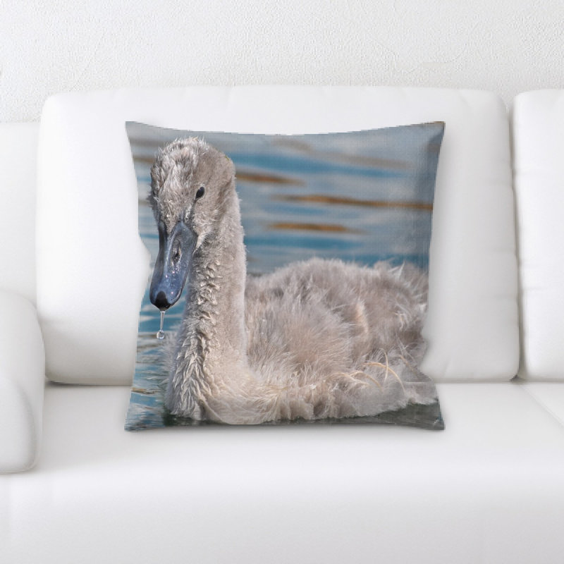 Coussin swan
