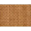 Hand Knotted Wool Area Rug in Beige