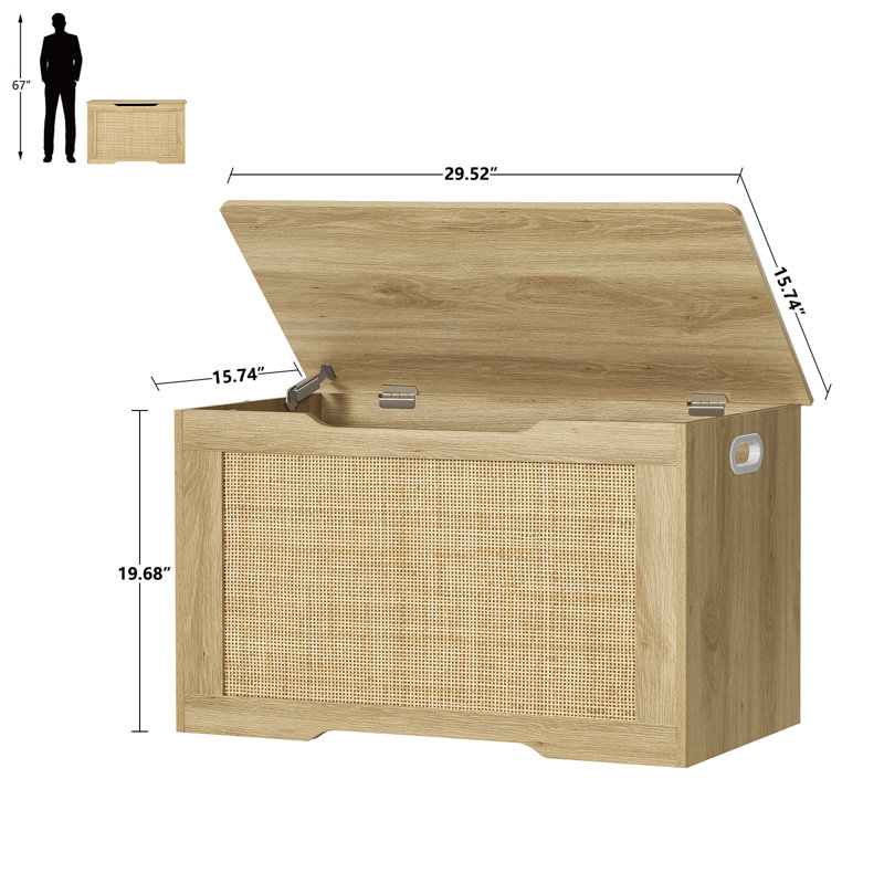 Storage Chest, Rattan Storage Bench with Storage, Toy Chest for Bedroom, 19.68"H x 29.52"W x 15.74"D