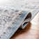 Delmer Performance Oriental Rug