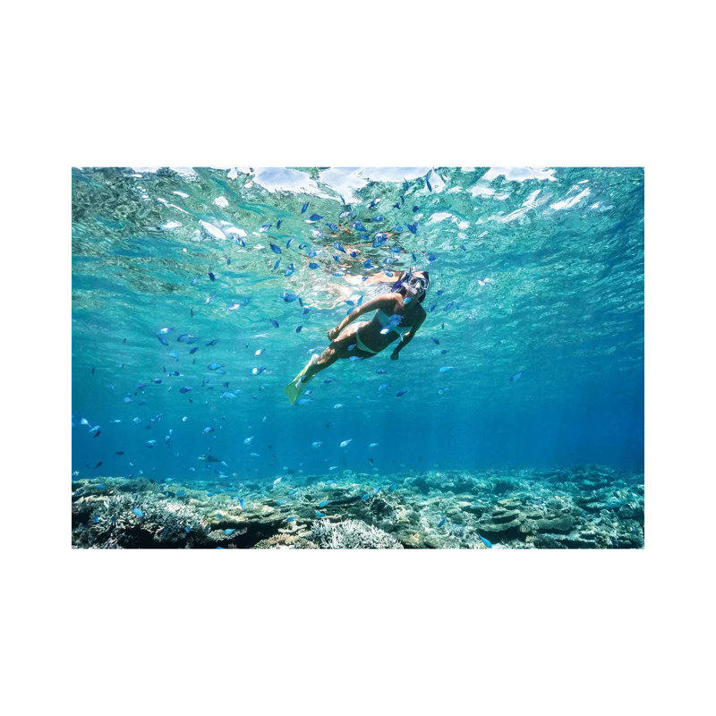 «Underwater Bikini Snorkeller Coral Reef Fish» par James Vodicka - photographie sur toile tendue