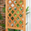 Braxtyn Solid Wood Fir Outdoor Bench