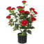 65cm Plant-446146513