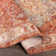 Allie Oriental Indoor Rug