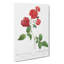 Cabbage Rose by Pierre-Joseph Redoute - Wrapped Canvas-55323089