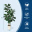 Faux Plant-1065178085