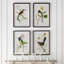 Summer Bird Framed Prints