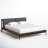 Raines Upholstered Bed-1633007546-1699498431