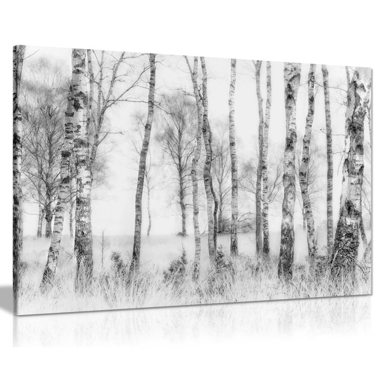 Panther Print Fine Art Prints Black & White Old Birch Tree Trunks In Winter Artistic Framed Canvas Prints, Pictures For Home Walls, Bedroom, Living Room & Bathroom Decor - Wrapped Canvas Art Prints