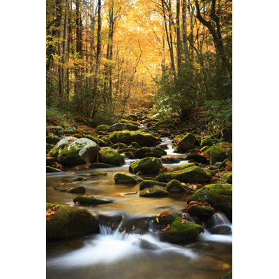 " Autumn Stream " by Rcimages