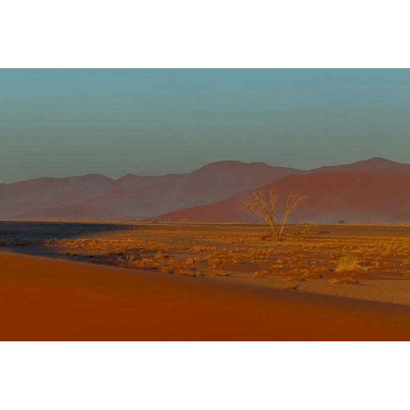 "Désert du matin de la Namibie II" par Richard Silver - photographie encadrée, Image au gel brossé