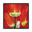 «Most Beautiful Tulip I», impression sur toile-29483304-73582097-73582098