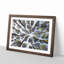 Tree Tops - Picture Frame Painting Print-56733749-56733752