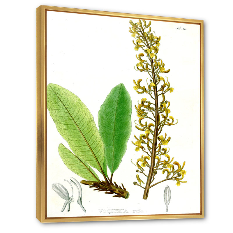 Plante brésilienne rétro IV - peinture sur toile, H 32 po x l 16 po x P 1 po, Cadre flottant doré