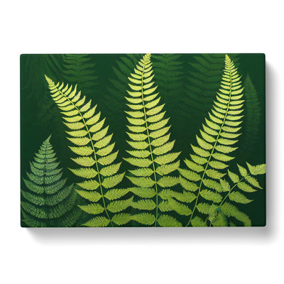 Pretty Fern Leaves - Wrapped Canvas Print