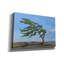  «Summer Wind 2018» par Kenneth M Kirsch, art mural sur toile, 26 po x 18 po