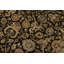 Tapis beige / gris anthracite à motif oriental en laine noué à la main 8 pi 4 po x 10 pi 2 po Abagail