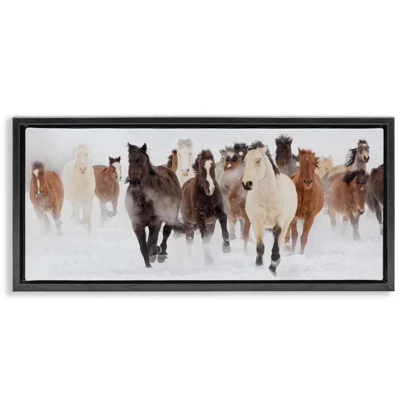 Troupeau de chevaux sauvages en hiver brumeux, H 11 po x l 25 po, Cadre flottant noir de jais