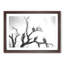 Vultures on a Tree - Picture Frame Painting Print-56734365-56734360