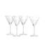 Crafthouse Signature Collection Martini Glass
