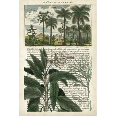 Journal of the Tropics I -  Graphic Art