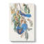 Florida Jay by John James Audubon - Wrapped Canvas-55364061