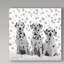 « dalmatien », reproduction d’impression sur toile tendue-31972577
